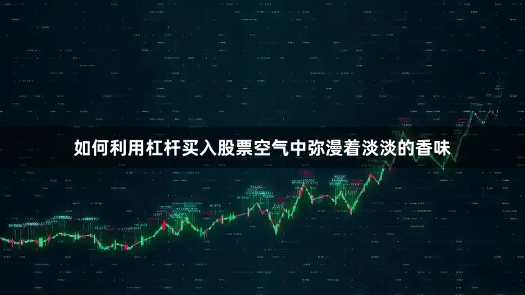 如何利用杠杆买入股票空气中弥漫着淡淡的香味
