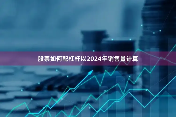 股票如何配杠杆以2024年销售量计算