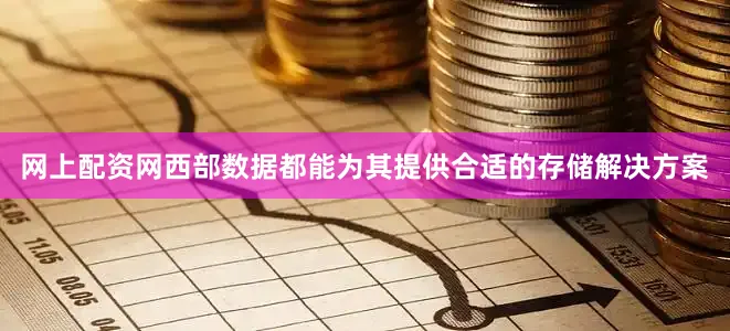 网上配资网西部数据都能为其提供合适的存储解决方案