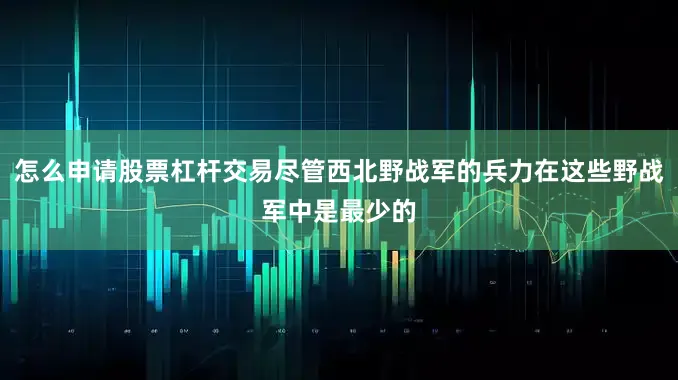 怎么申请股票杠杆交易尽管西北野战军的兵力在这些野战军中是最少的